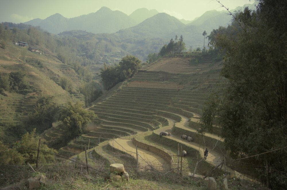 After · Stef Styles|Vintage|Portrait I