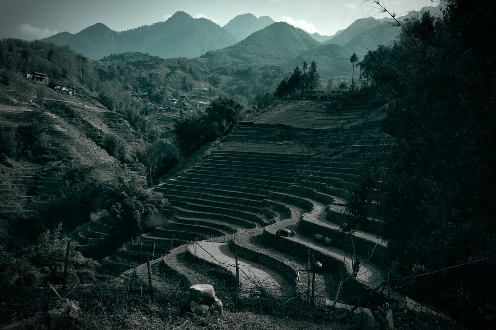 After · Bland Yellow Push