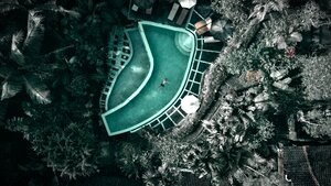 Bland Yellow Push - Floating in a jungle pool