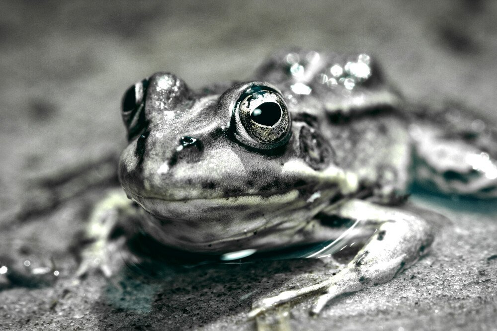 After · Bland Yellow Push