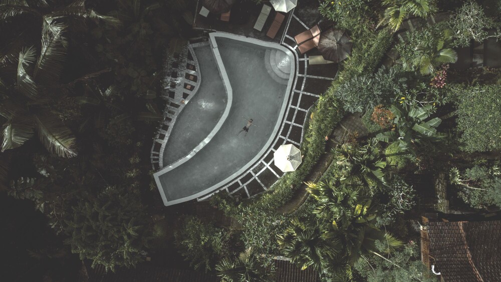 After · Dark Tones|Moody Green