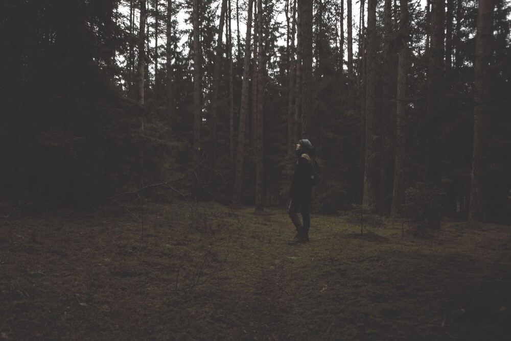 After · Dark Tones|Moody Green