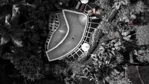 Dexter - Floating in a jungle pool