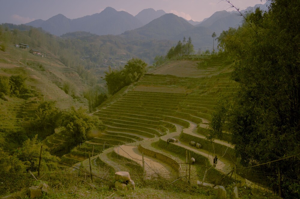 After · Stef Styles|Night|City lights with reflection