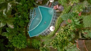 Stef Styles|Night|City lights with reflection - Floating in a jungle pool