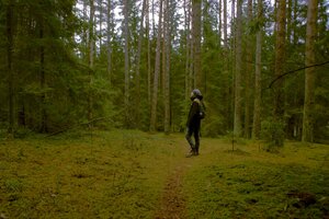 Stef Styles|Night|City lights with reflection - adventurekid 