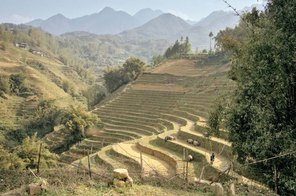 After · Stef Styles|Interior|Metro Station II Desat TO