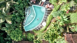 Stef Styles|Interior|Metro Station II Desat TO - Floating in a jungle pool