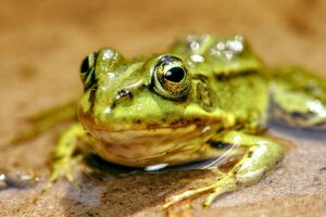 Stef Styles|Interior|Metro Station II Desat TO - A poolfrog. Breda / The Netherlands