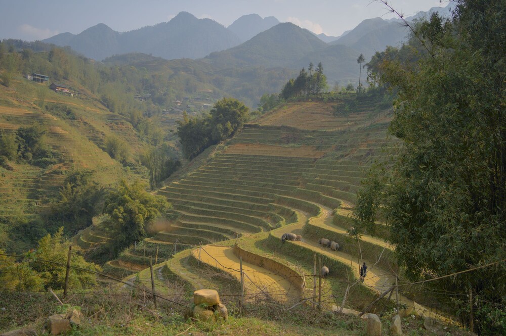 After · Stef Styles|Interior|Metro Station III Whitish