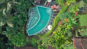 Stef Styles|Interior|Metro Station III Whitish - Floating in a jungle pool