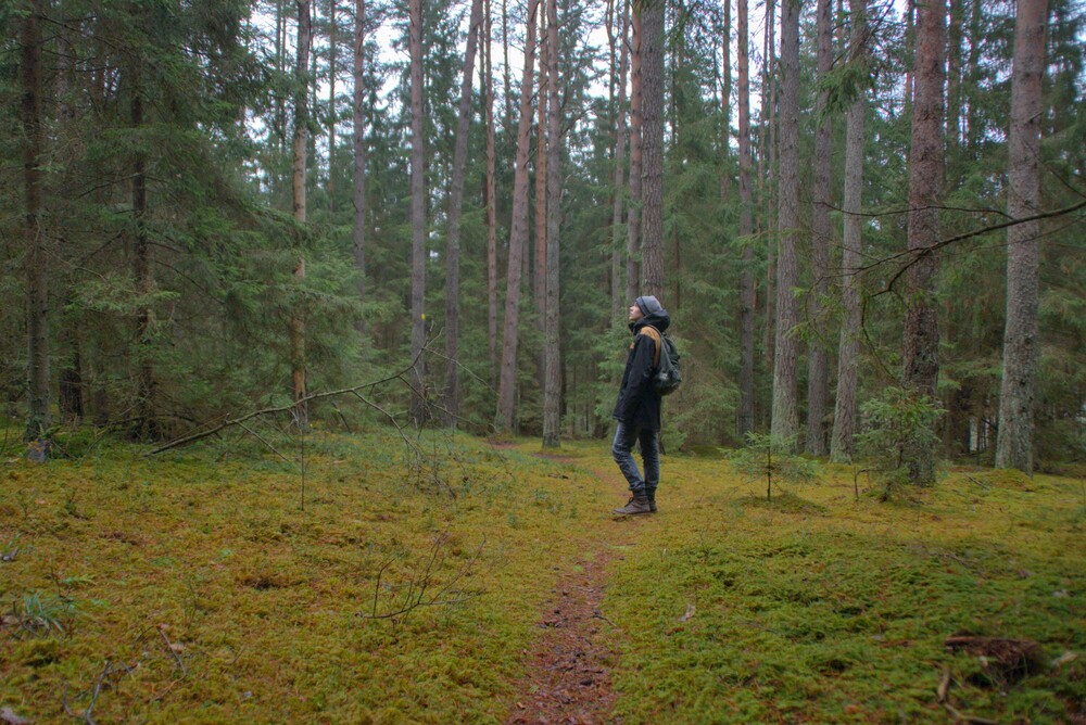 After · Stef Styles|Interior|Metro Station III Whitish