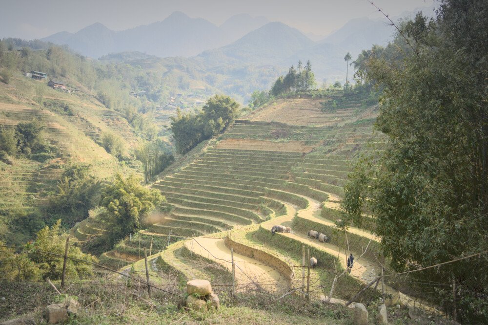 After · Stef Styles|The Traveller|Dreamy II