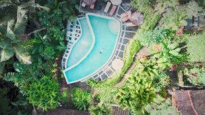 Stef Styles|The Traveller|Dreamy II - Floating in a jungle pool