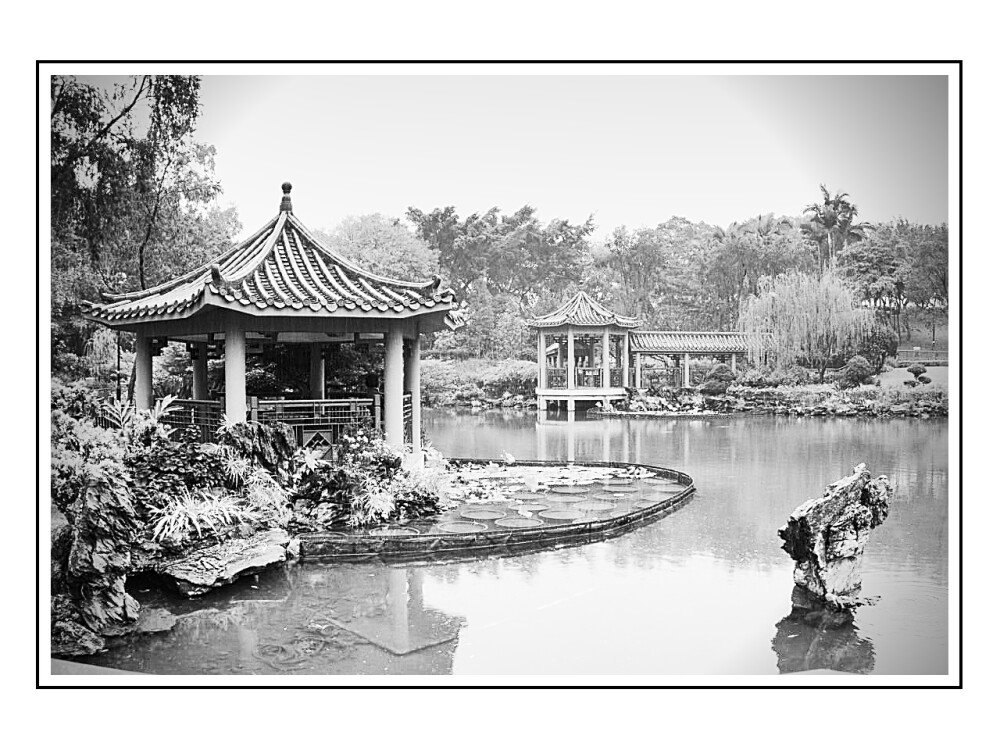 After · Black-and-White-Lessinia