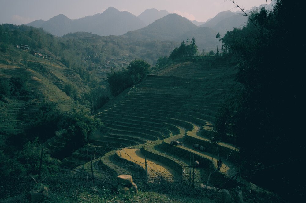 After · Stef Styles|Night|Ghotam City night with blue SH