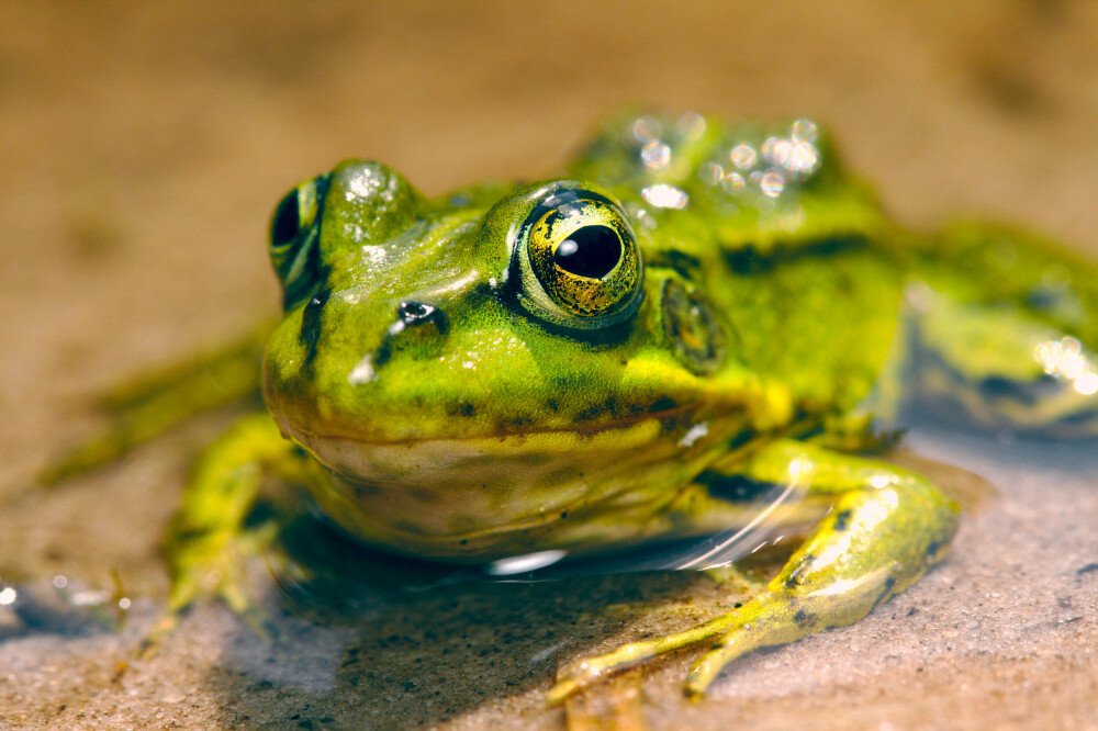 After · Stef Styles|Night|Ghotam City night with blue SH