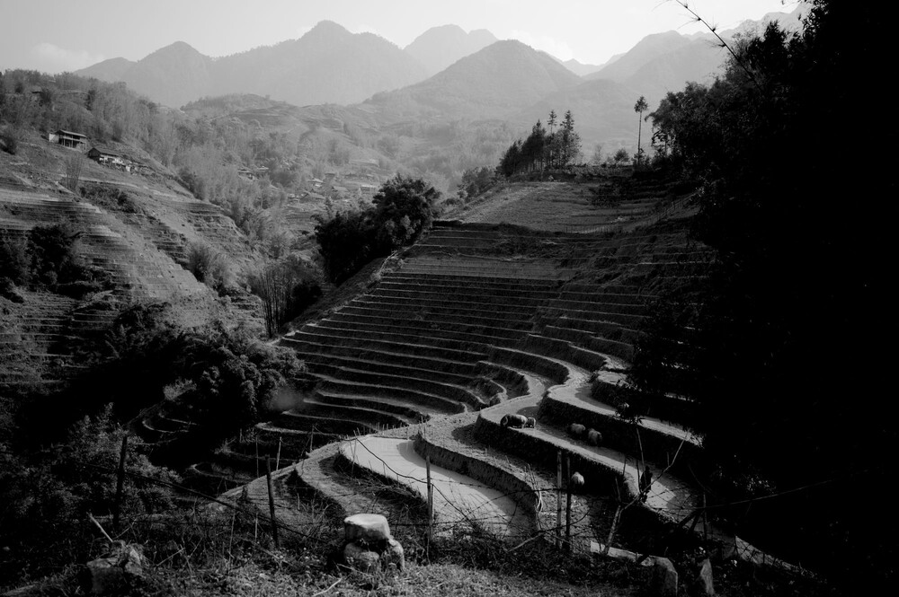 After · Stef Styles|Black and White|Indoor Mid Contrast