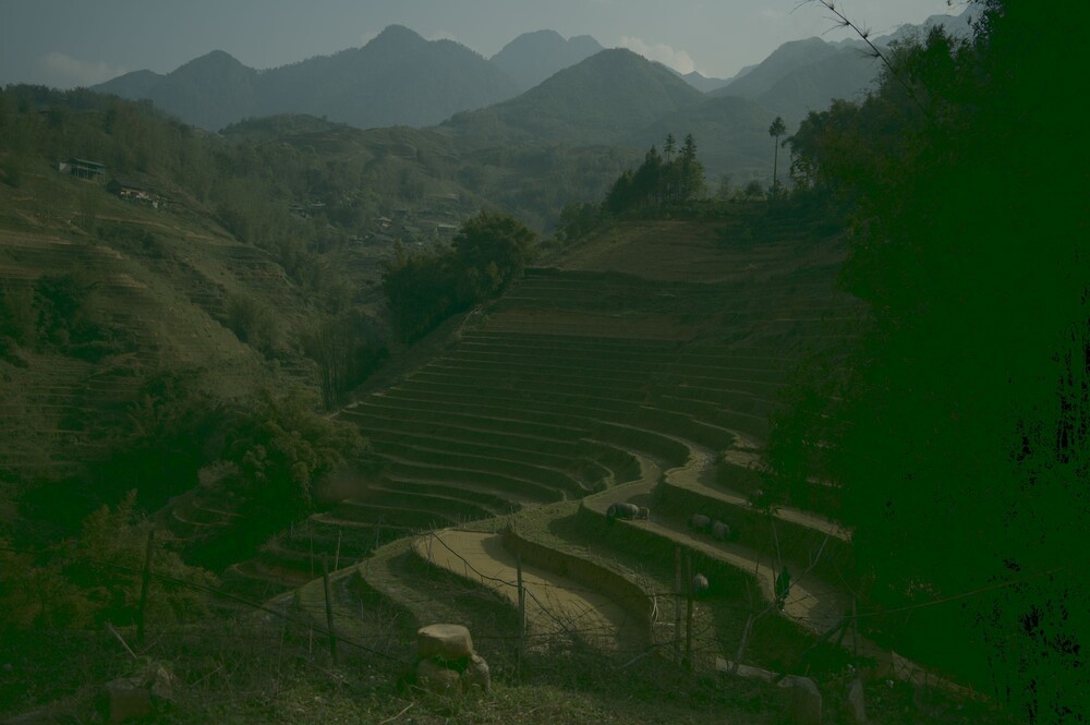 After · Stef Styles|The Traveller|Snowy Forest G-Mono