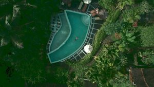 Stef Styles|The Traveller|Snowy Forest G-Mono - Floating in a jungle pool