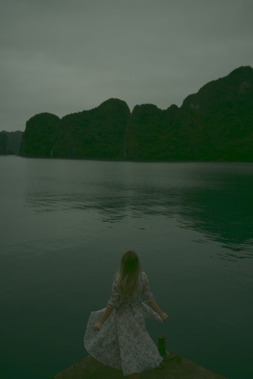 After · Stef Styles|The Traveller|Snowy Forest G-Mono