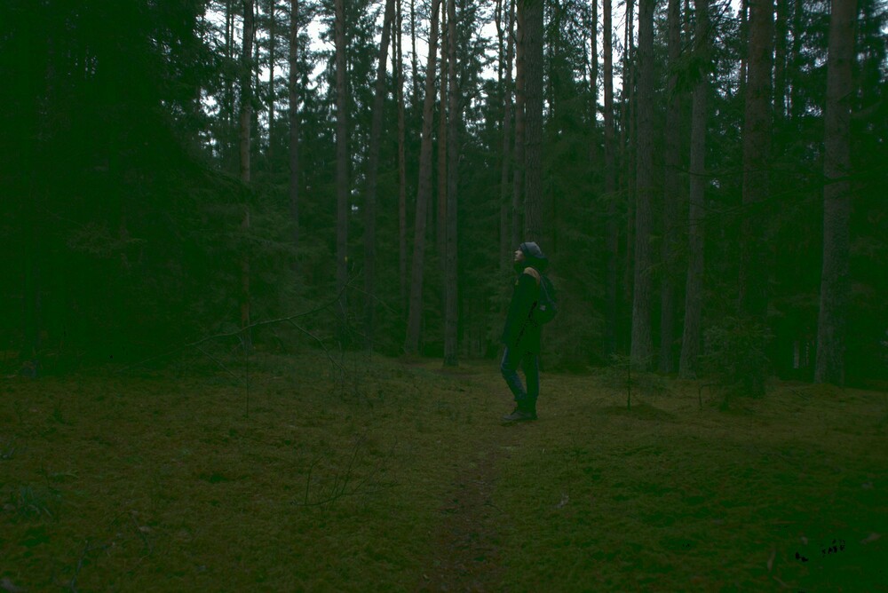 After · Stef Styles|The Traveller|Snowy Forest G-Mono