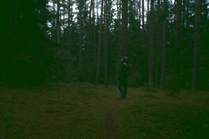 Stef Styles|The Traveller|Snowy Forest G-Mono - adventurekid 