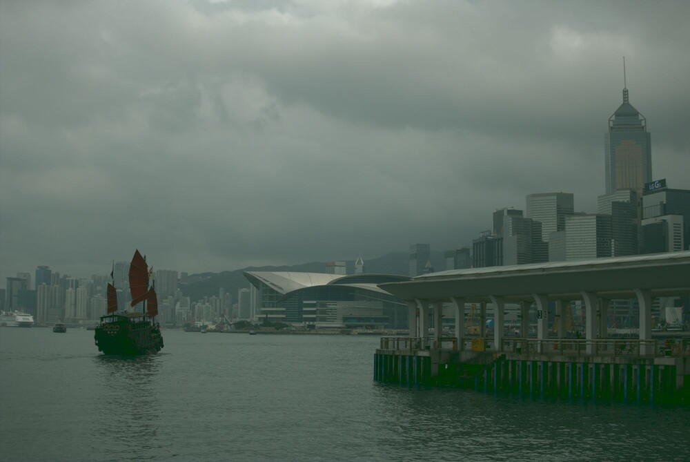 After · Stef Styles|The Traveller|Snowy Forest G-Mono