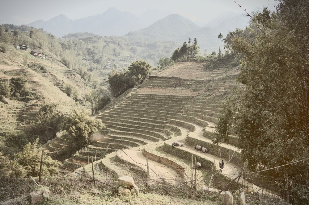 After · Stef Styles|Vintage|Cuba Street - ORA SD+