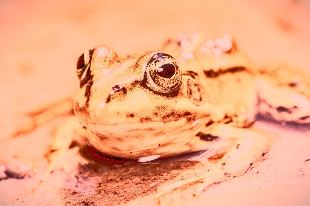 After · Stef Styles|Vintage|Cuba Street - ORA SD+