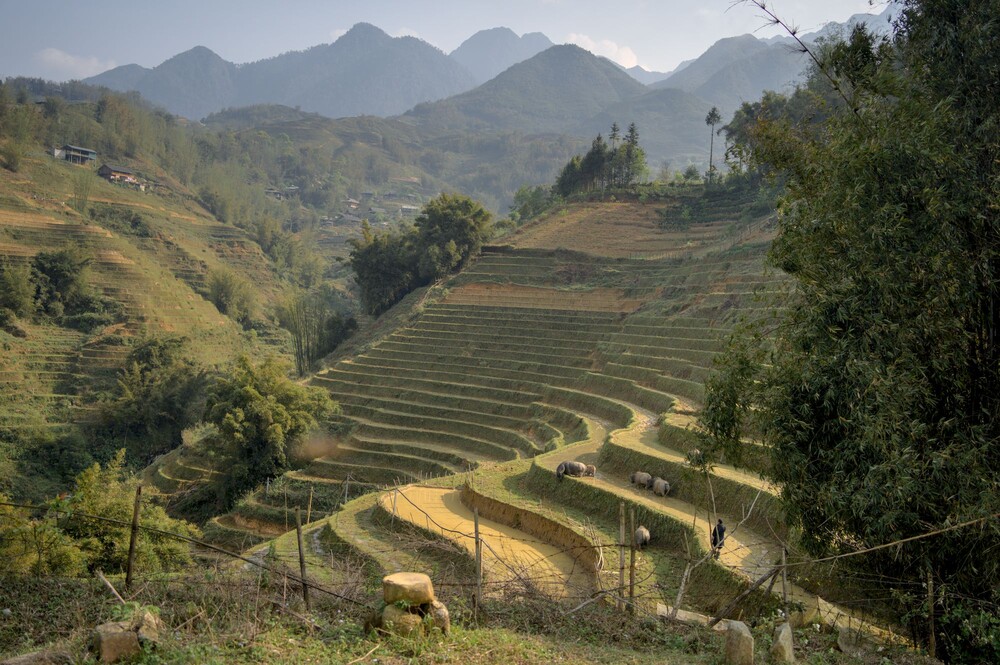 After · Stef Styles|Interior|Metro Station II