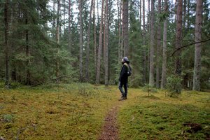 Stef Styles|Interior|Metro Station II - adventurekid 