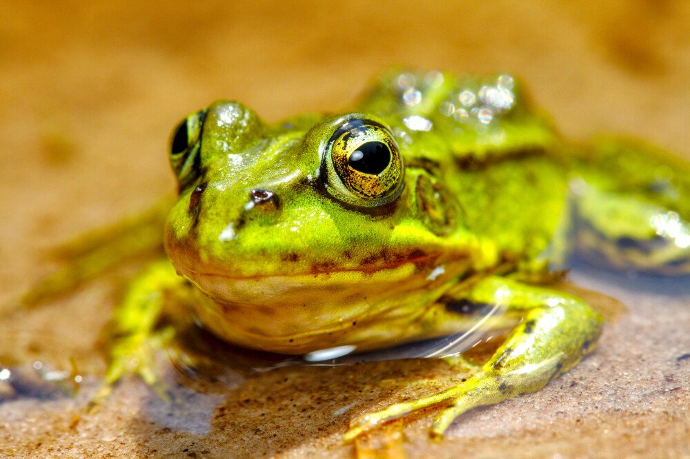 After · Stef Styles|Interior|Metro Station II