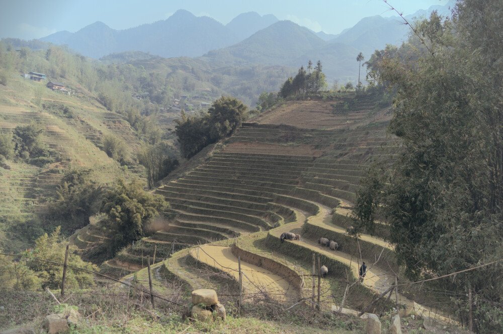 After · Stef Styles|The Traveller|Bright Up Dull Day