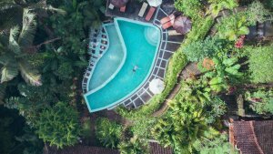 Stef Styles|The Traveller|Bright Up Dull Day - Floating in a jungle pool