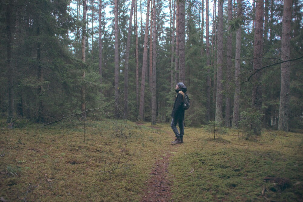 After · Stef Styles|The Traveller|Bright Up Dull Day