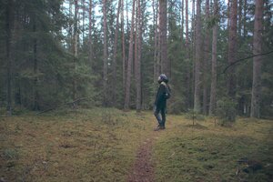 Stef Styles|The Traveller|Bright Up Dull Day - adventurekid 