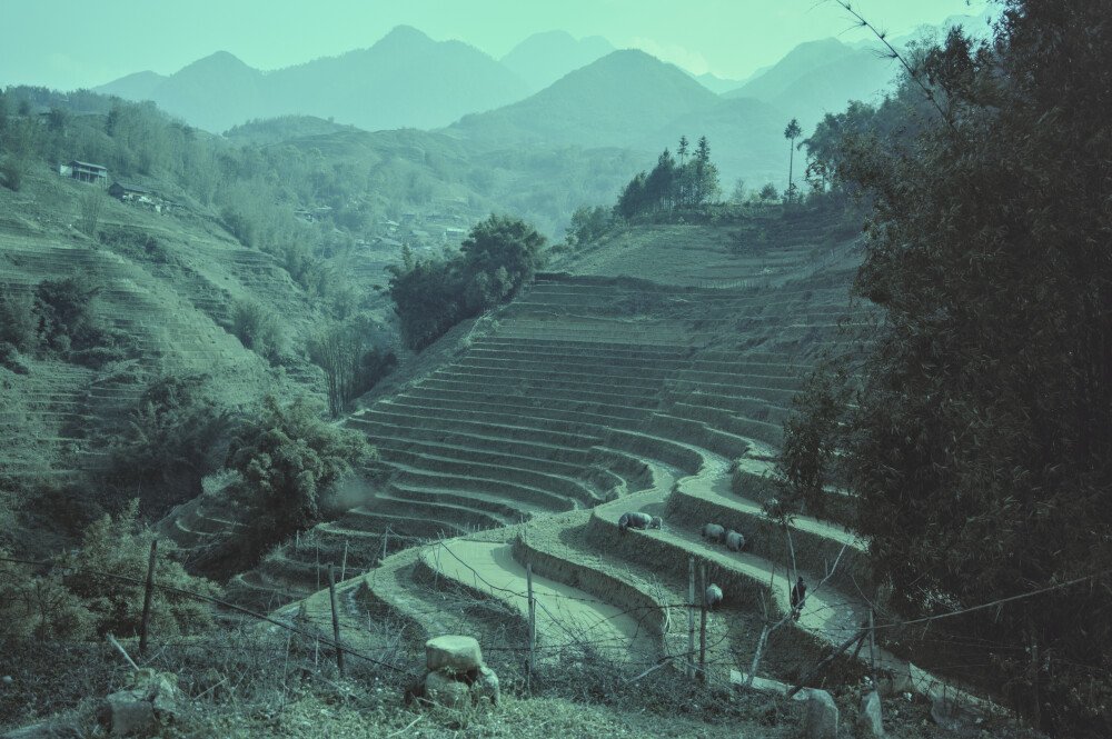 After · Dark Tones|60s mood