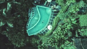 Dark Tones|60s mood - Floating in a jungle pool