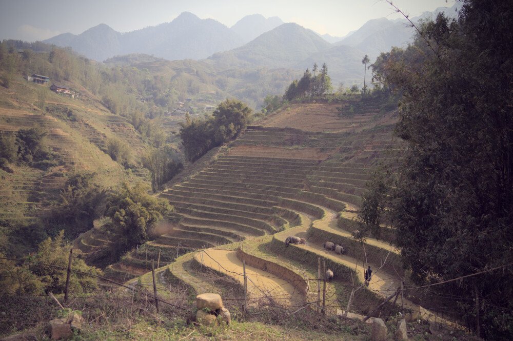 After · Stef Styles|People|VY Vign