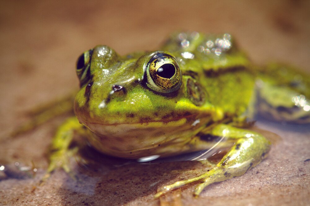 After · Stef Styles|People|VY Vign