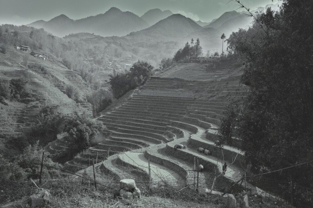 After · Dark Tones|Desat with blueish