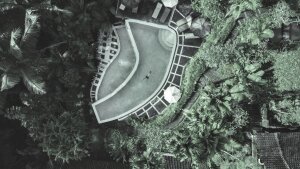 Dark Tones|Desat with blueish - Floating in a jungle pool