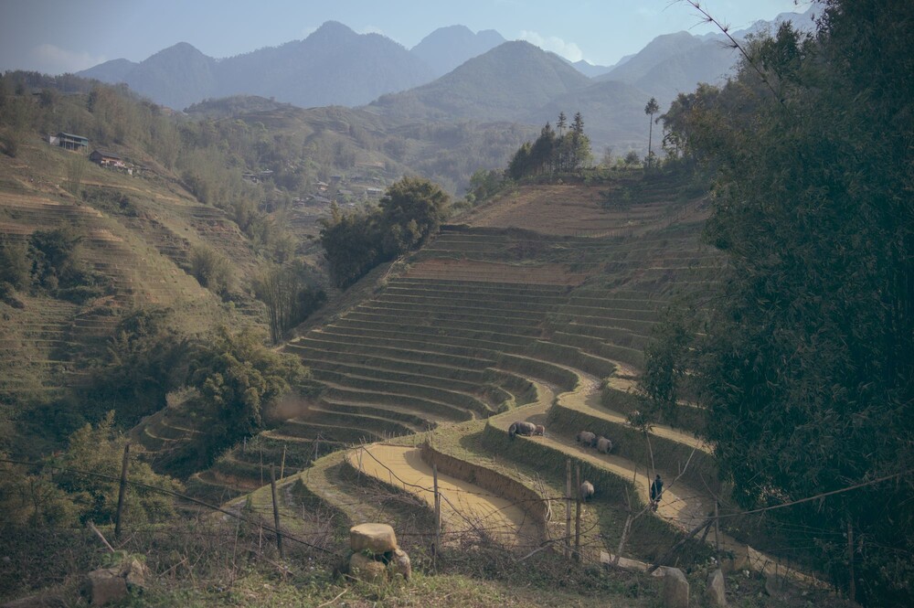 After · Stef Styles|The Traveller|Bright Up Dull Day