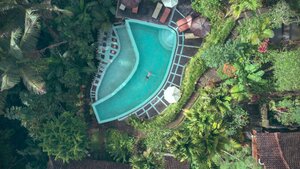 Stef Styles|The Traveller|Bright Up Dull Day - Floating in a jungle pool