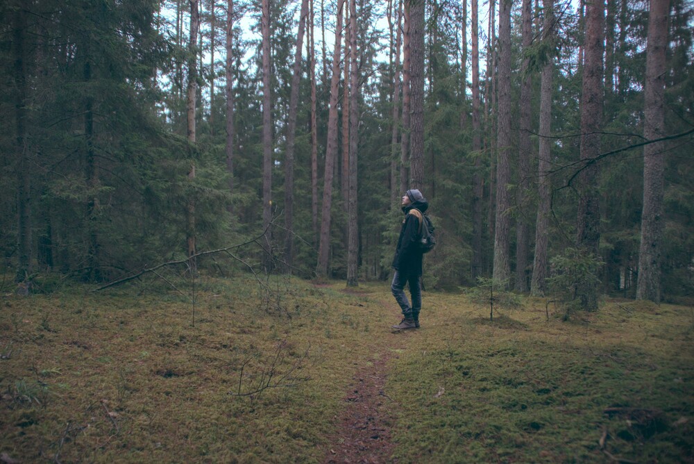 After · Stef Styles|The Traveller|Bright Up Dull Day