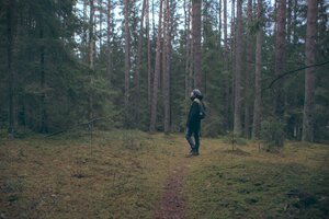 Stef Styles|The Traveller|Bright Up Dull Day - adventurekid 