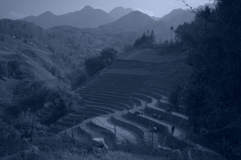 After · Virado cianotipo