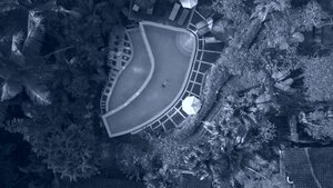 Virado cianotipo - Floating in a jungle pool