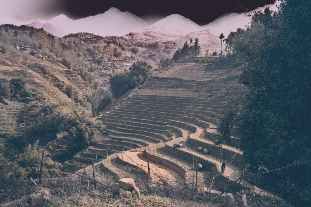 After · Stef Styles|The Traveller|Low Tone TO